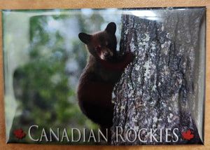Cub on tree Magnet