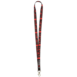 Lanyard