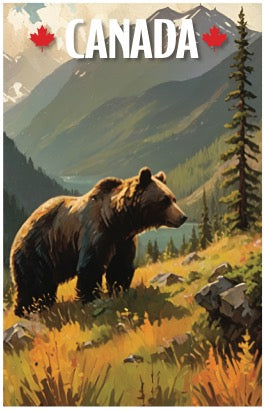 Bear on Hill