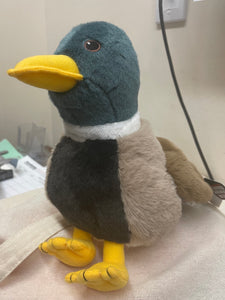 9" Mallard Duck
