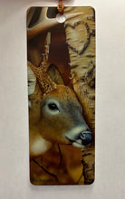 Load image into Gallery viewer, 3D &amp; Motion Bookmarks
