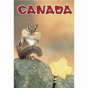 Post Card Canada Chipmunk